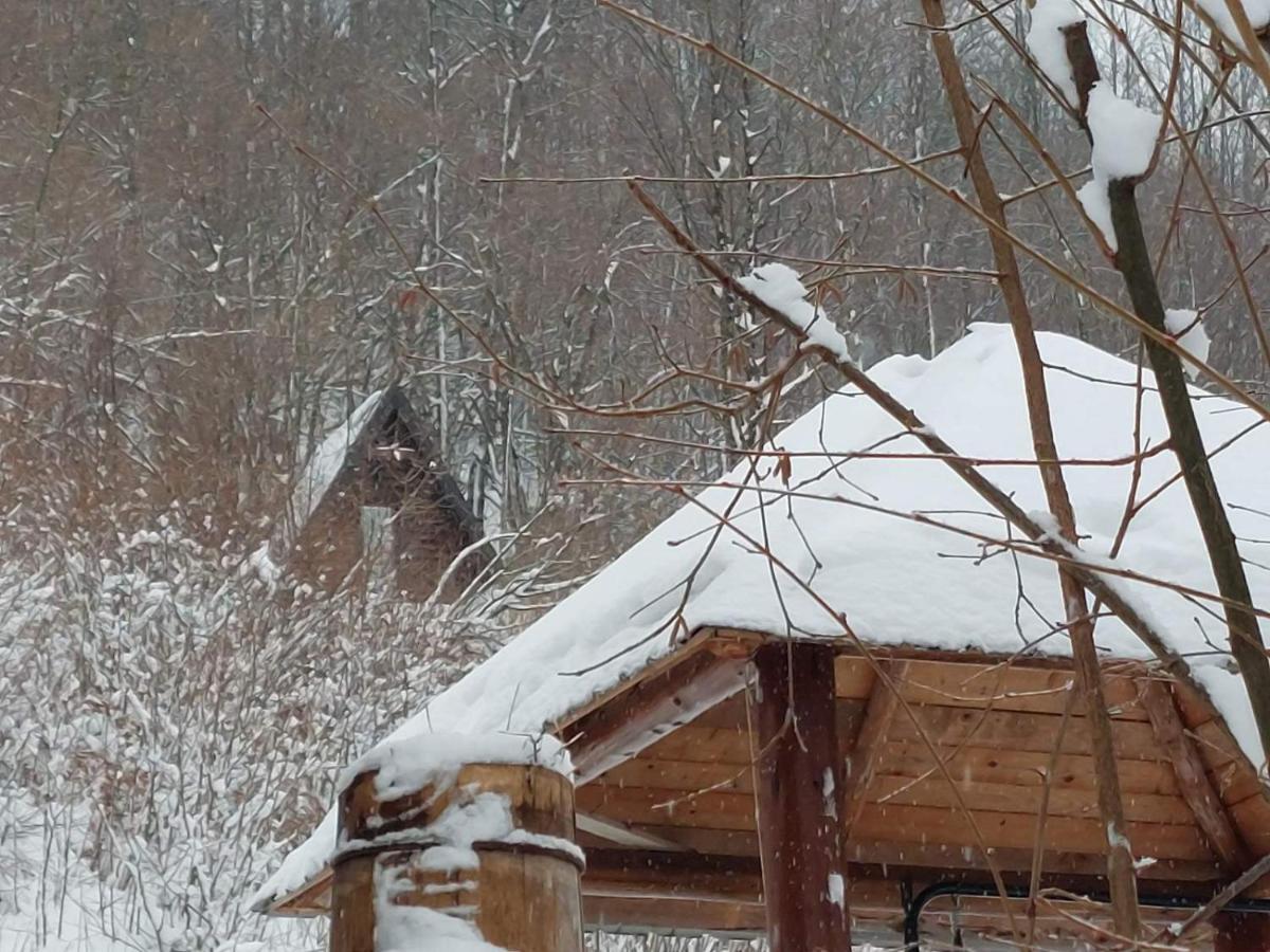 Holiday Bungalows Pajkovir Kolašin Exteriér fotografie